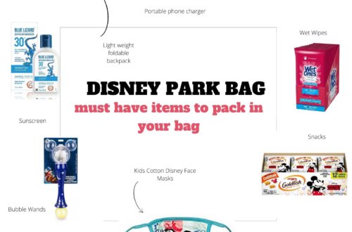 Disney Park Bag what to pack
